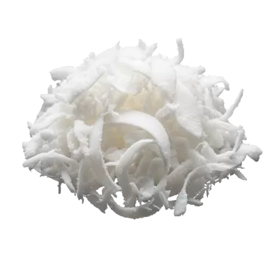 Imagen PNG para descargar